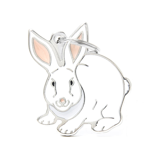 Médaille lapin