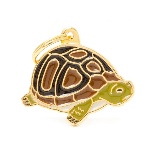 Médaille tortue
