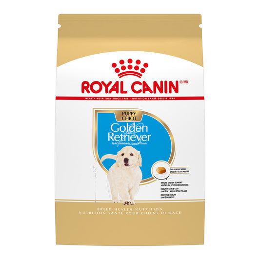 Golden Retriever chiot - nourriture sèche pour chien