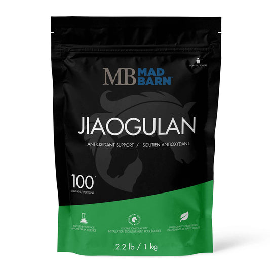 Jiaogulan 1 kg