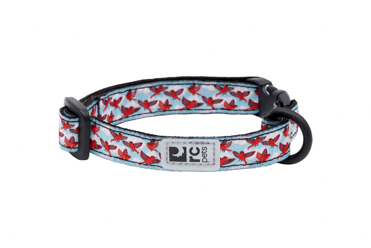 Collier sécuritaire à motifs pour chats