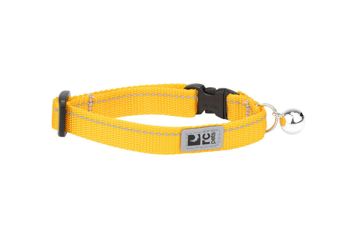 Collier sécuritaire de base pour chat