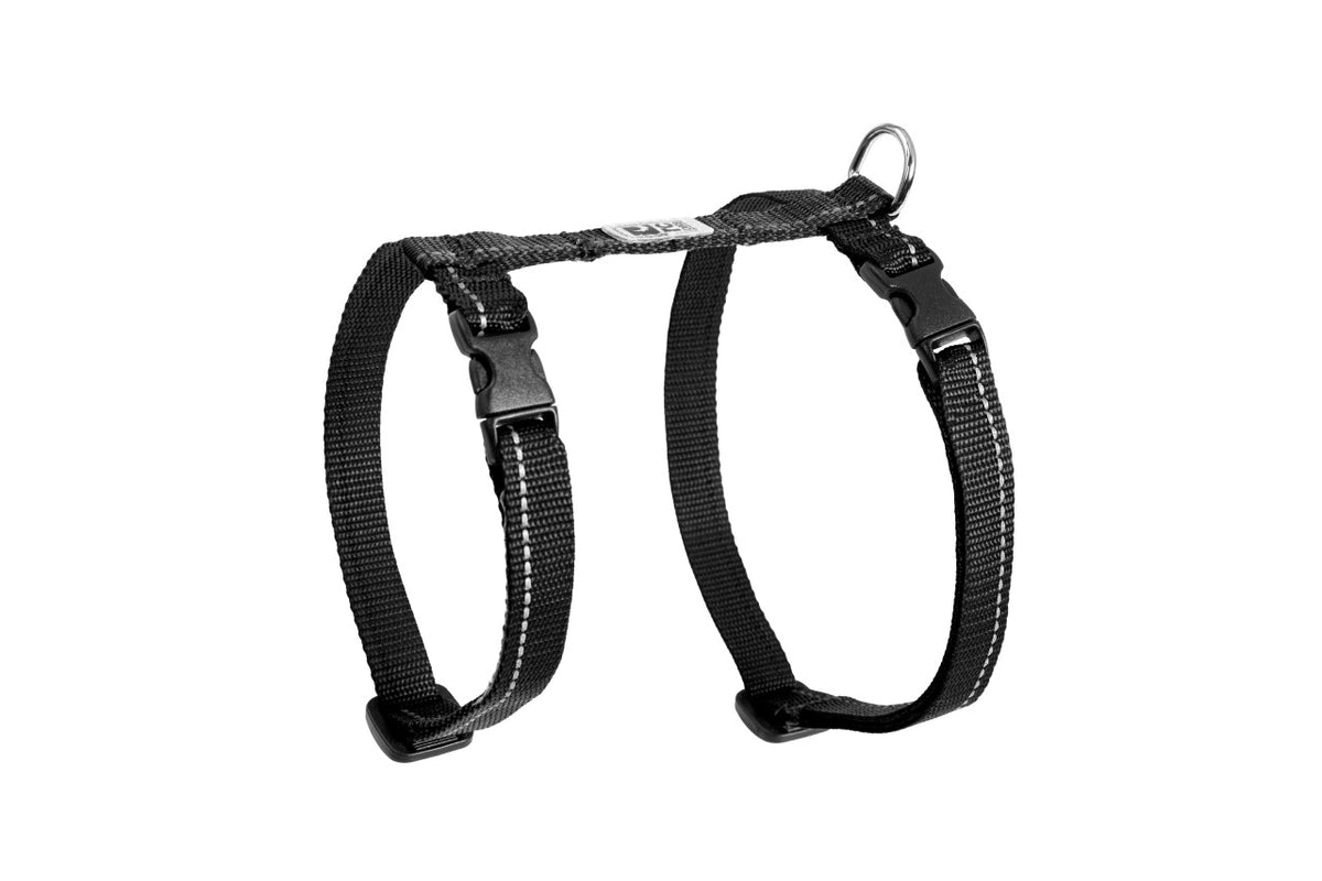 Harnais de base pour chat - RC Pets