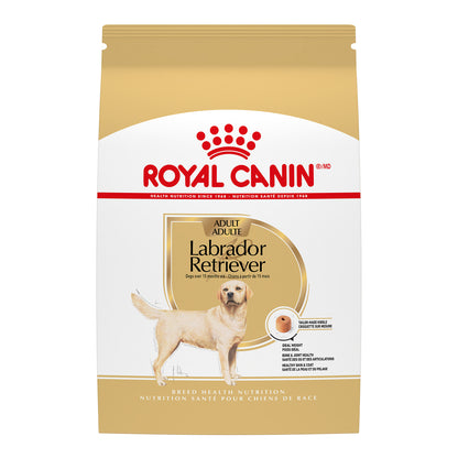 Labrador Retriever adulte - nourriture sèche pour chien