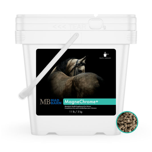 Supplément Magnachrome pour chevaux insulinorésistants 5 kg