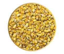 Maïs rond biologique 25 kg