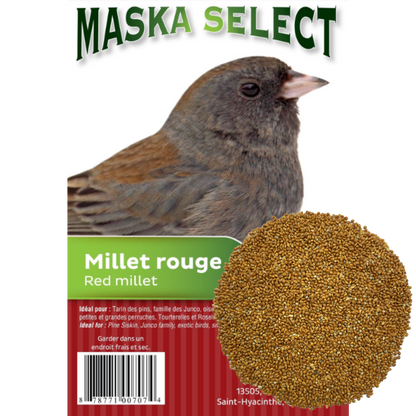 Millet rouge Maska - nourriture pour oiseaux sauvages
