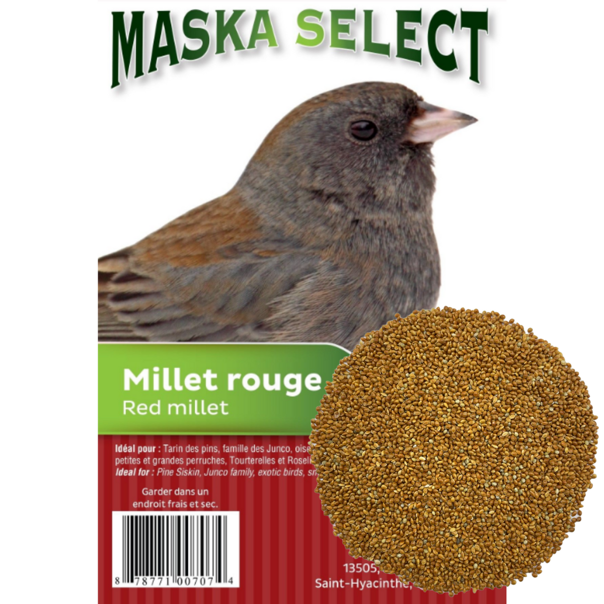 Millet rouge Maska - nourriture pour oiseaux sauvages