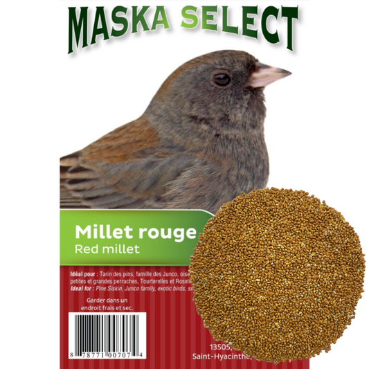Millet rouge Maska