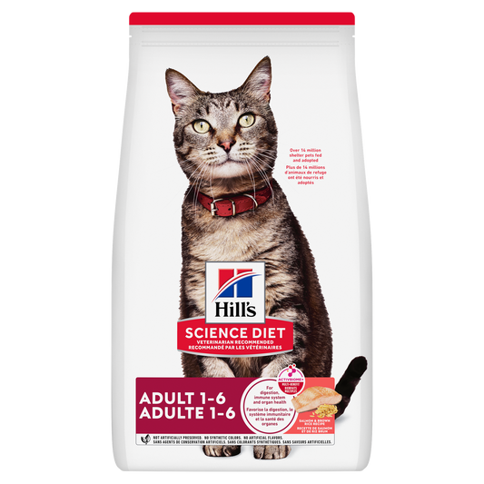 Adulte saumon et riz - nourriture sèche pour chat