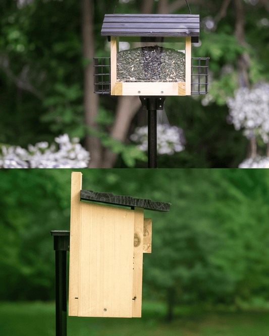 Bride de montage Birds-Up