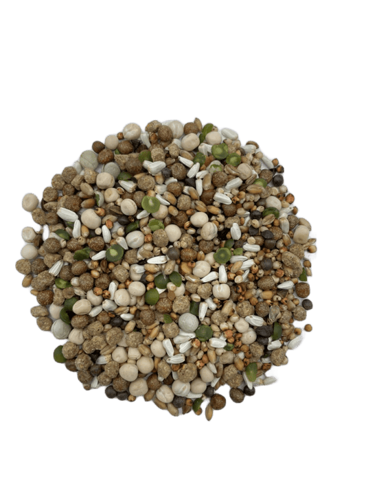 Mélange d'élevage pour pigeons 20 kg
