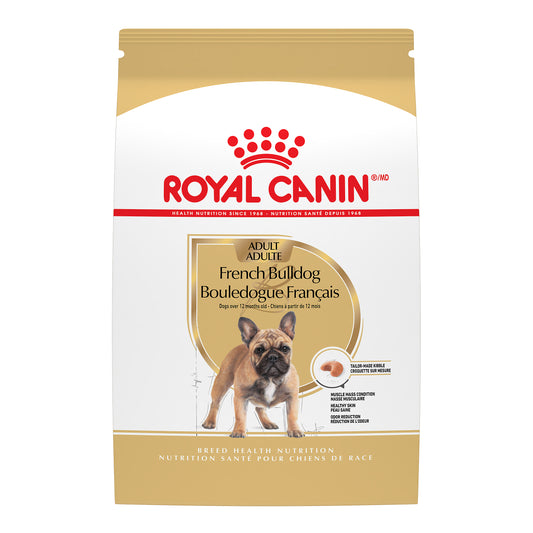 Bouledogue français adulte - nourriture sèche pour chien