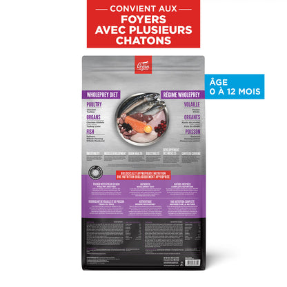 Chaton Orijen - nourriture sèche pour chat