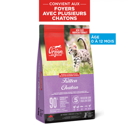 Chaton - nourriture sèche pour chat