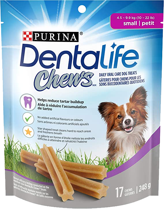 Gâteries dentaires quotidiennes pour chien