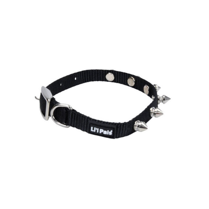 Collier en nylon à pointes pour chiot 3/8 po x 10 po