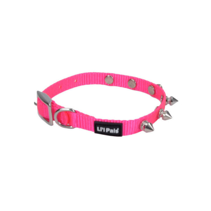 Collier en nylon à pointes pour chiot 3/8 po x 10 po