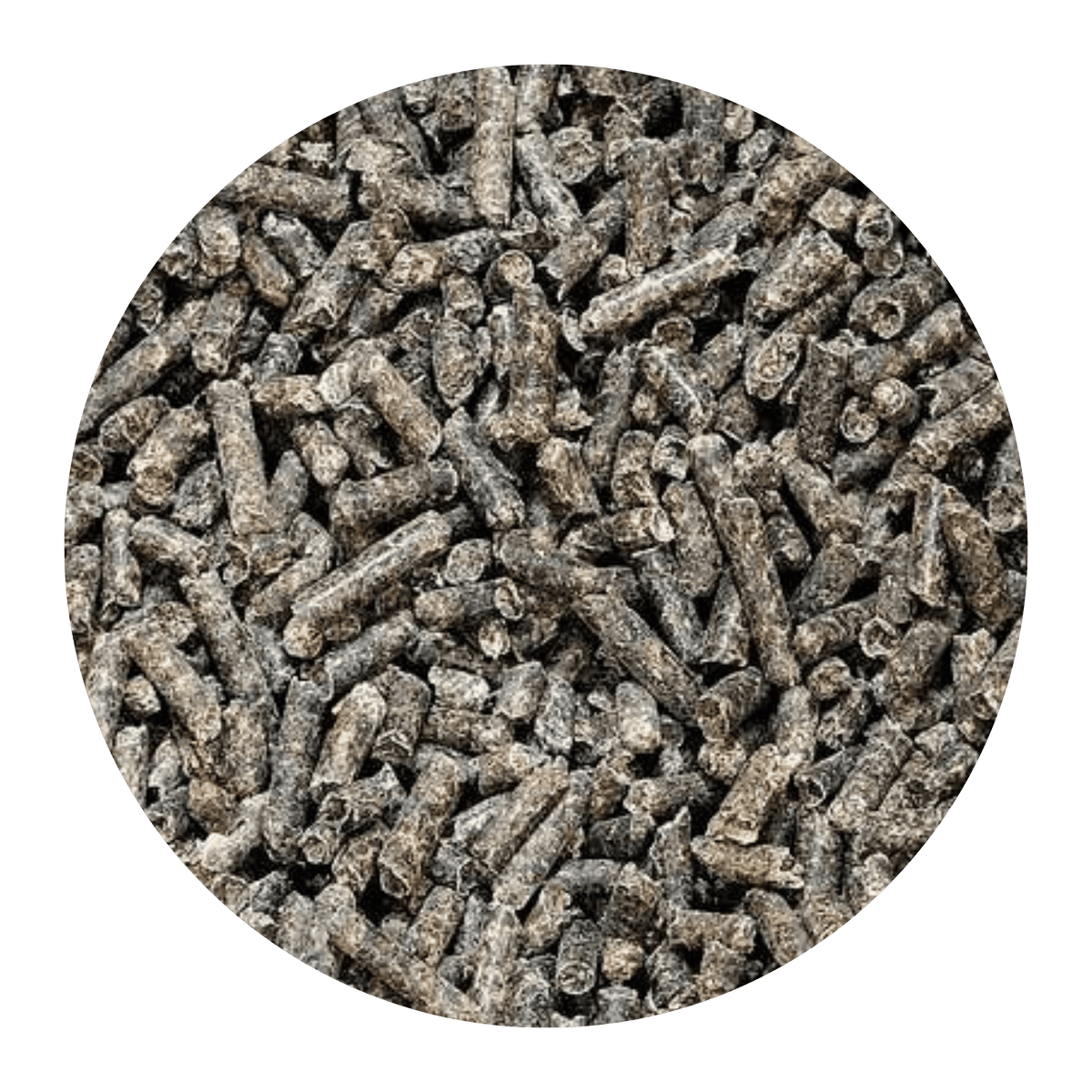 Pulpe de betterave en cubes 22,68 kg