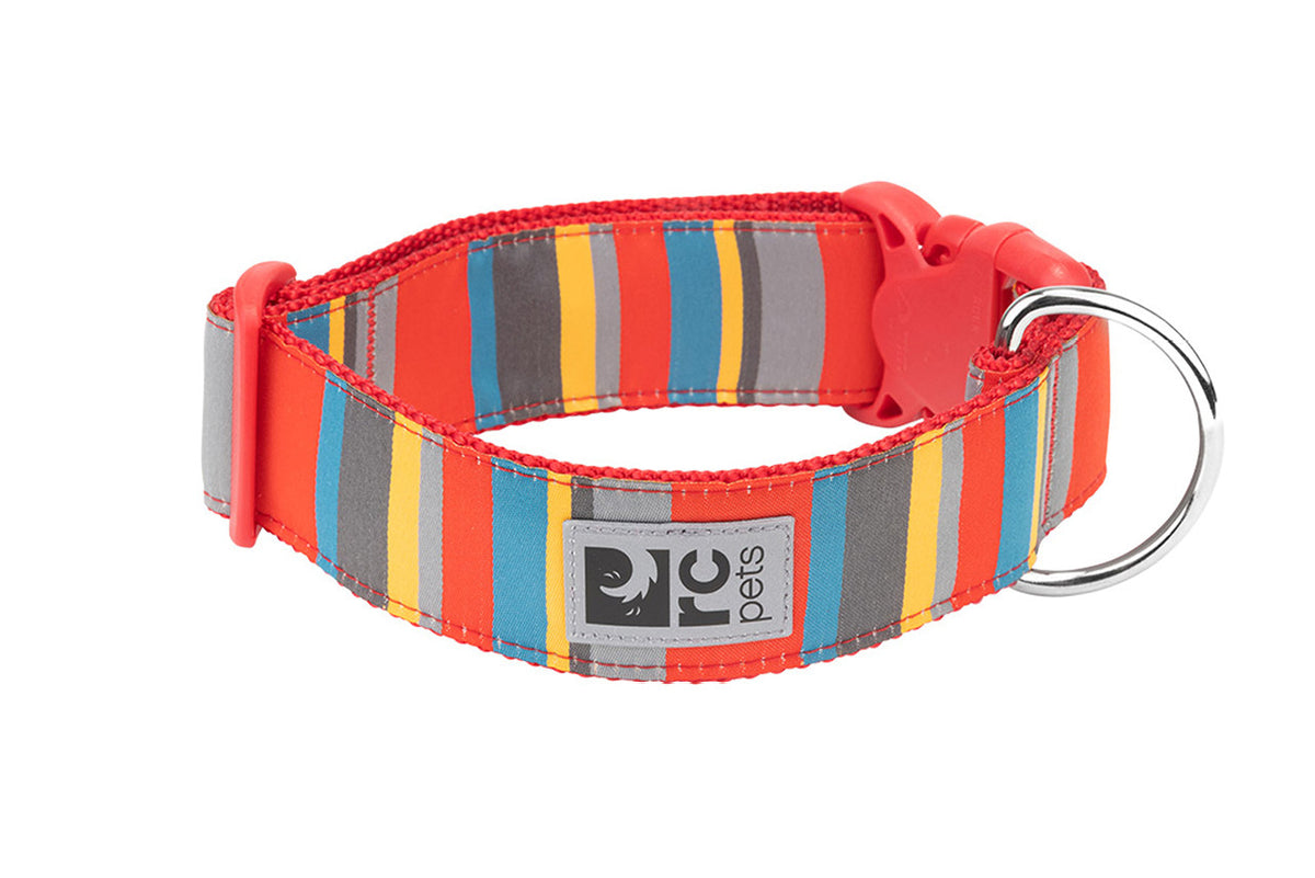 Collier large pour chien - RC Pets