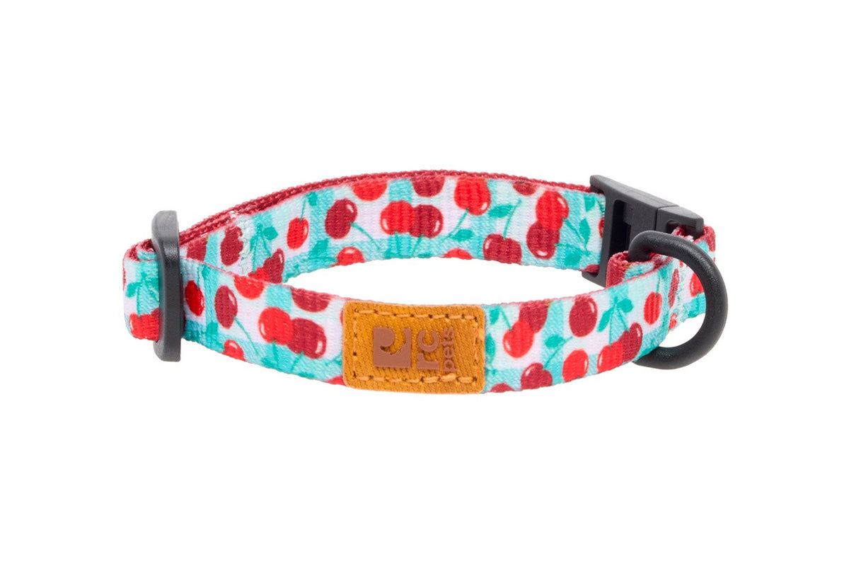 Collier éco sécuritaire pour chat