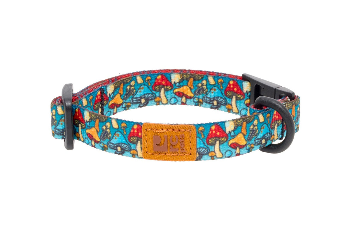 Collier éco sécuritaire pour chat