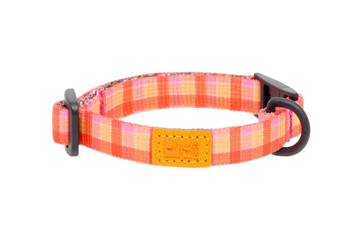 Collier éco sécuritaire pour chat