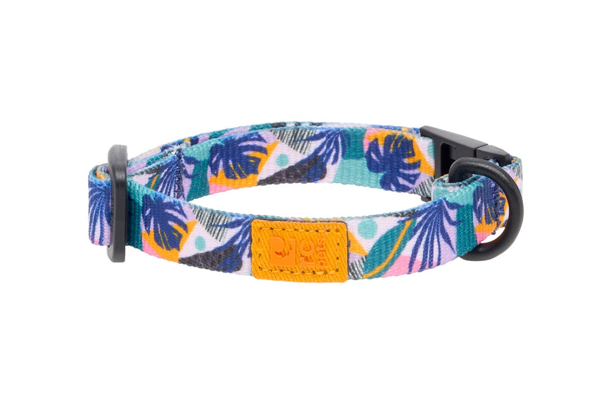 Collier éco sécuritaire pour chat