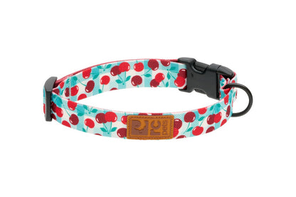Collier éco pour chien - RC Pets