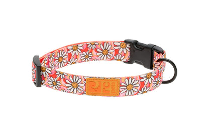 Collier éco pour chien - RC Pets