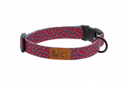 Collier éco pour chien - RC Pets