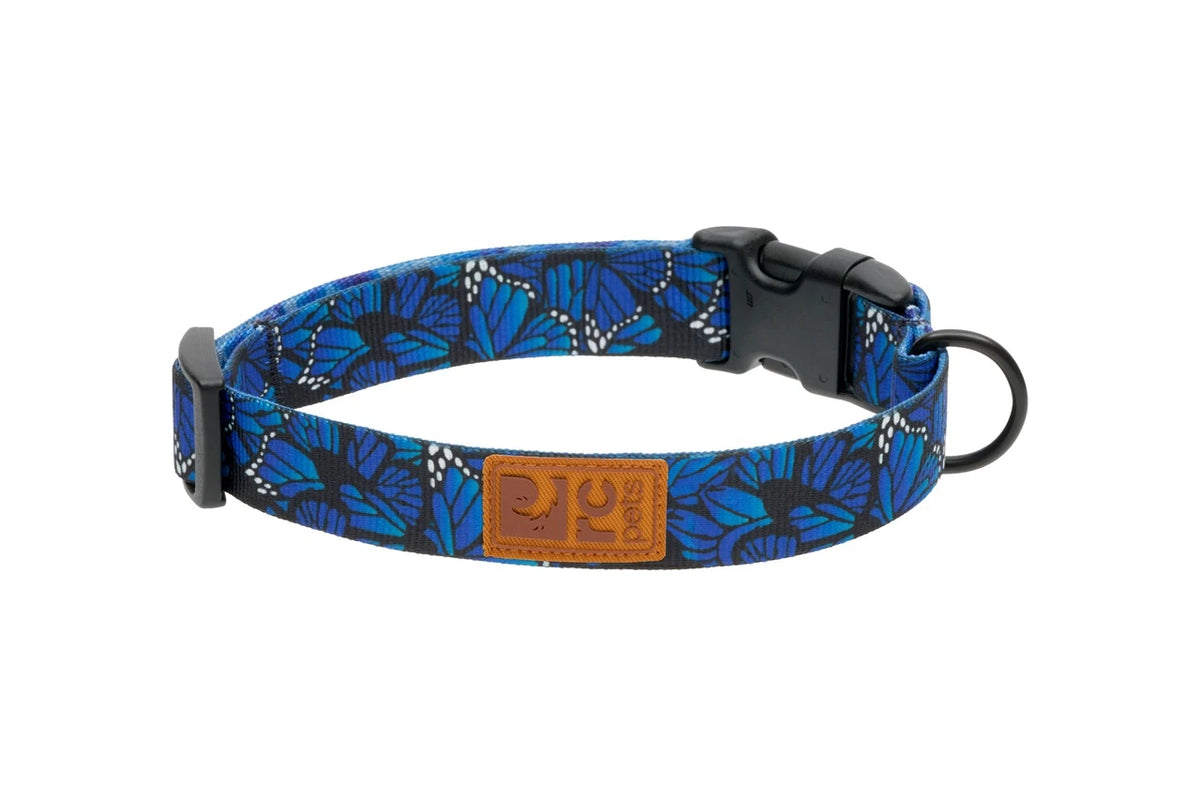 Collier éco pour chien - RC Pets