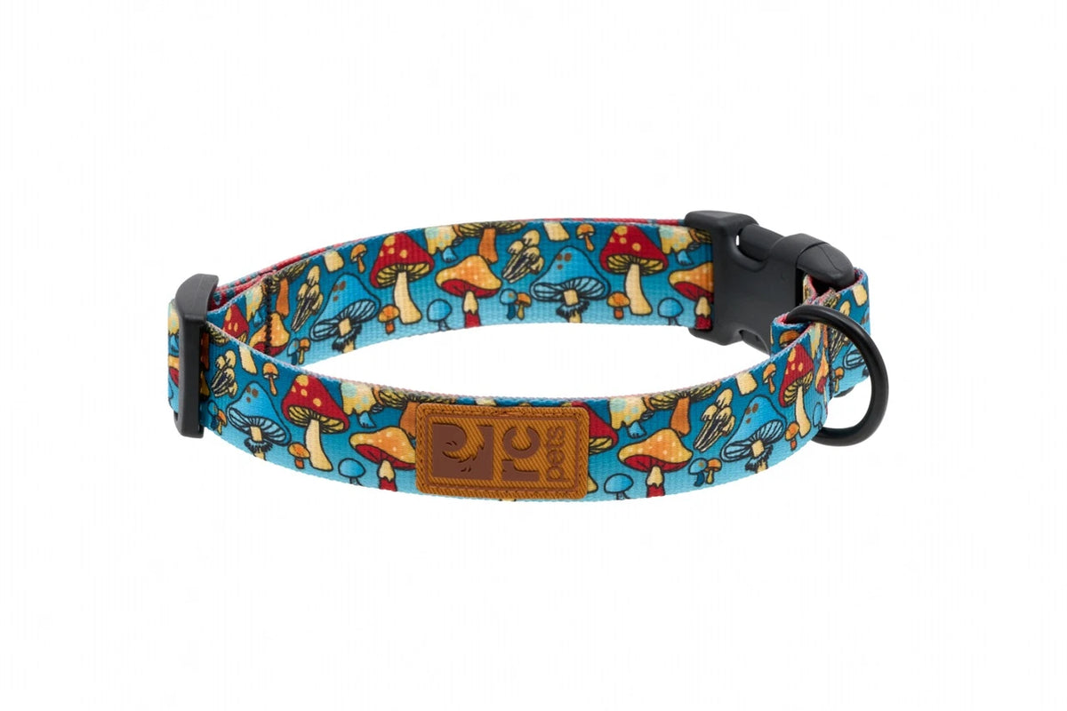 Collier éco pour chien - RC Pets