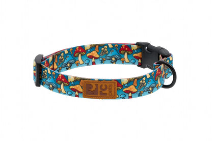 Collier éco pour chien - RC Pets