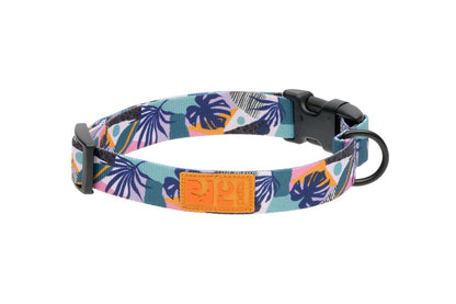 Collier éco pour chien - RC Pets