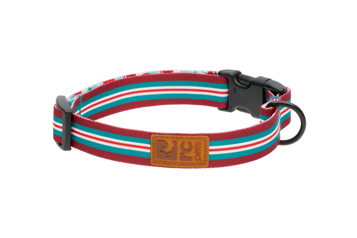Collier éco pour chien - RC Pets