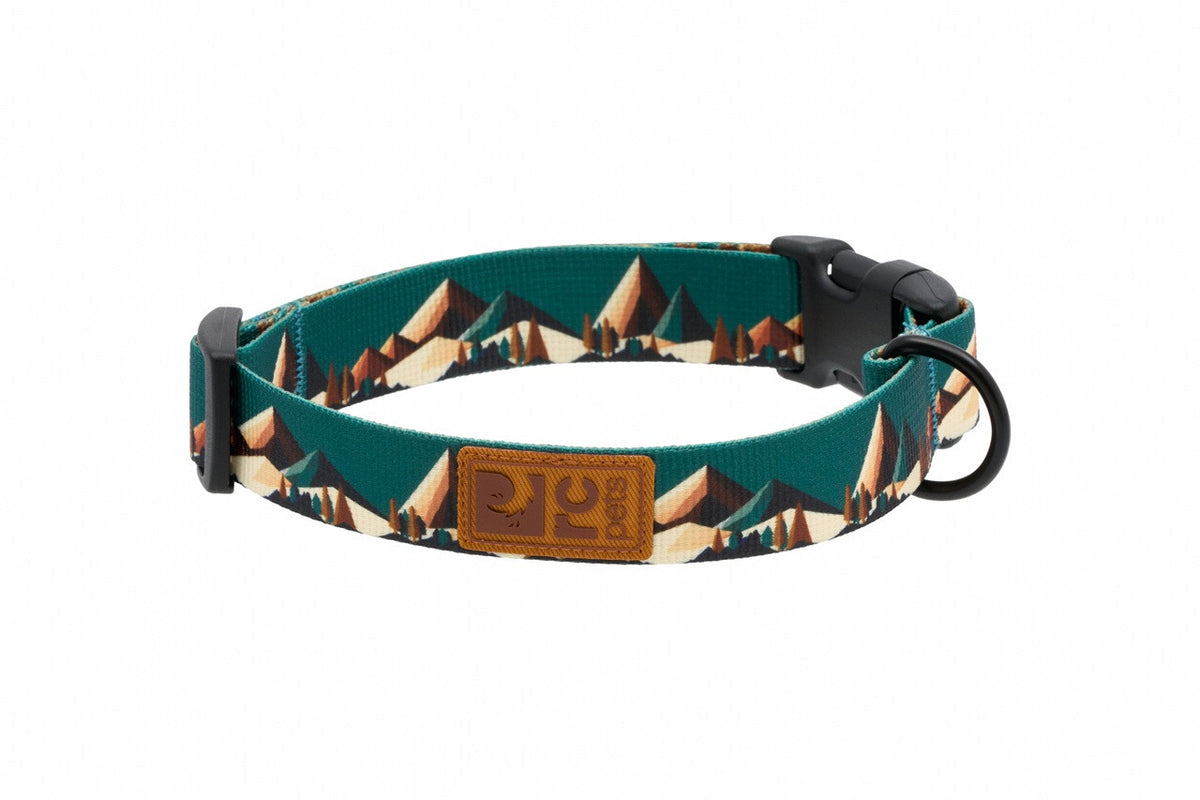 Collier éco pour chien - RC Pets