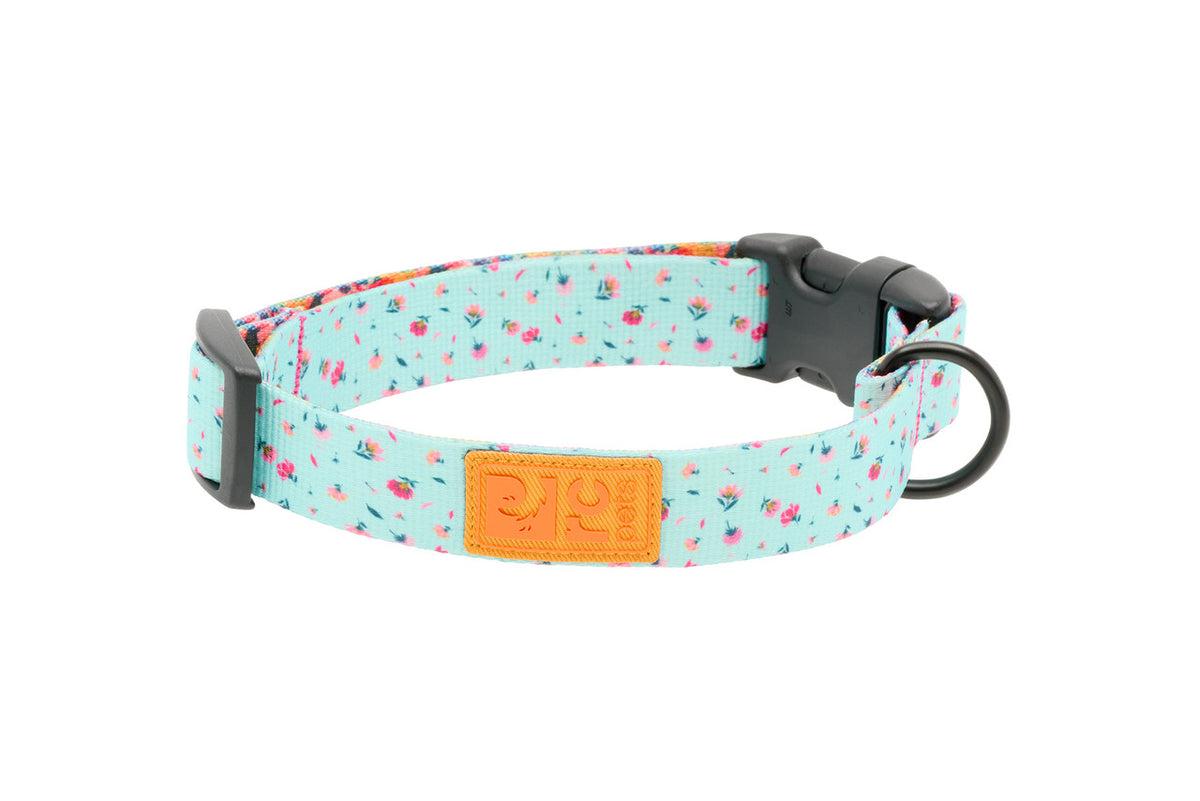 Collier éco pour chien - RC Pets