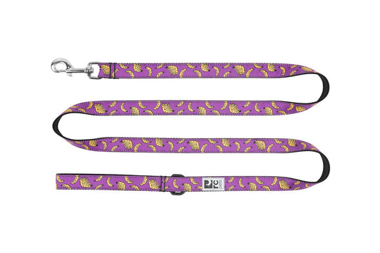 Laisse à motifs 6 pi
