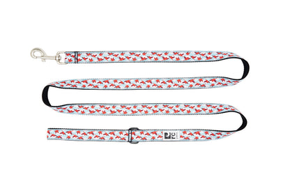Laisse à motifs 6 pi
