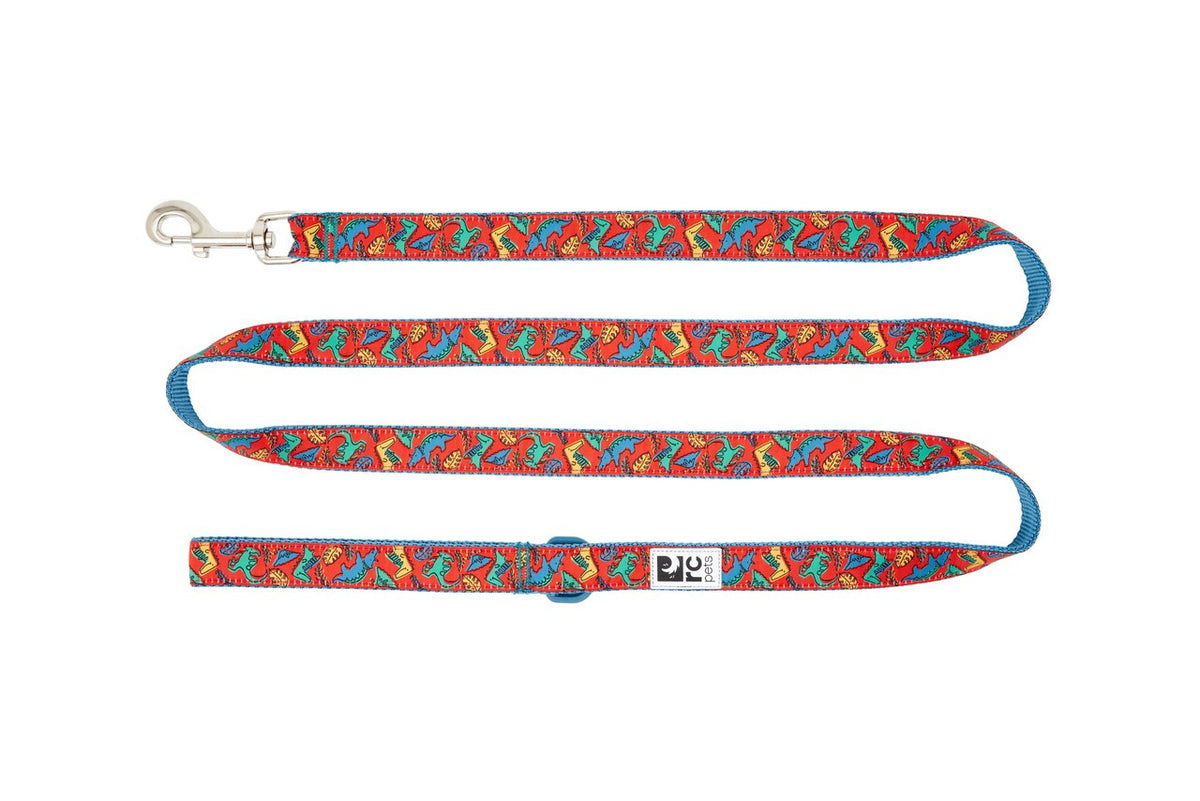 Laisse à motifs 6 pi