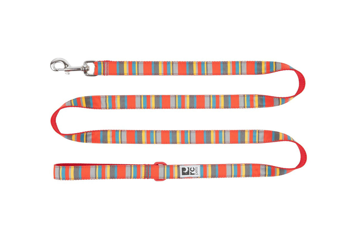 Laisse à motifs 6 pi