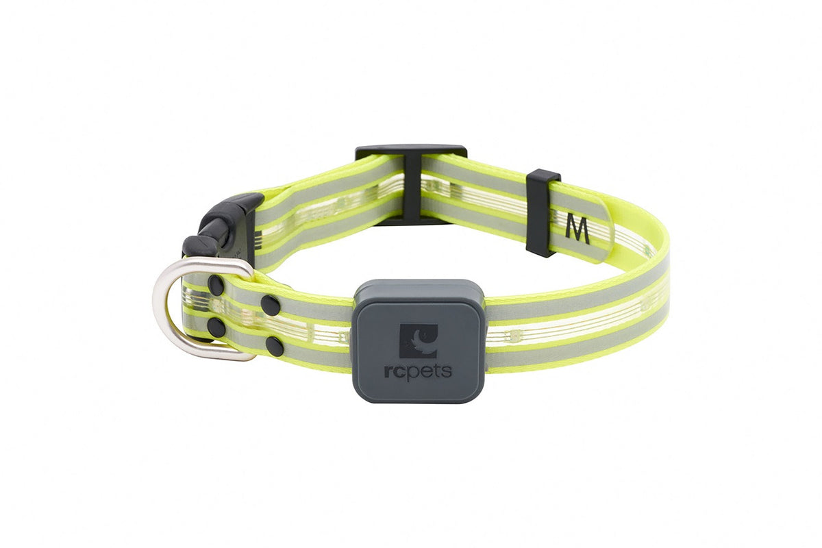 Collier lumineux à DEL Nova