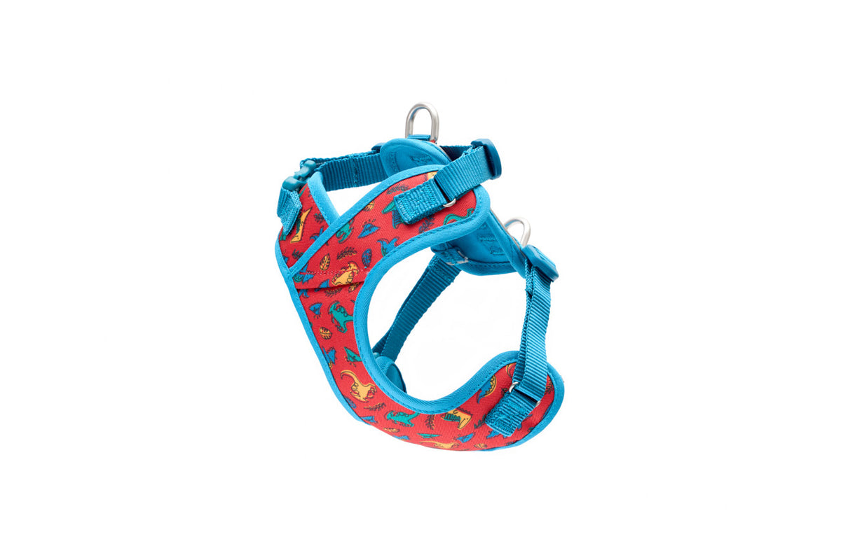 Harnais Explorateur Petite pour chien - RC Pets