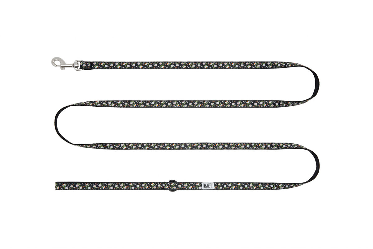 Laisse Petite à motifs 1/2 po x 6 pi