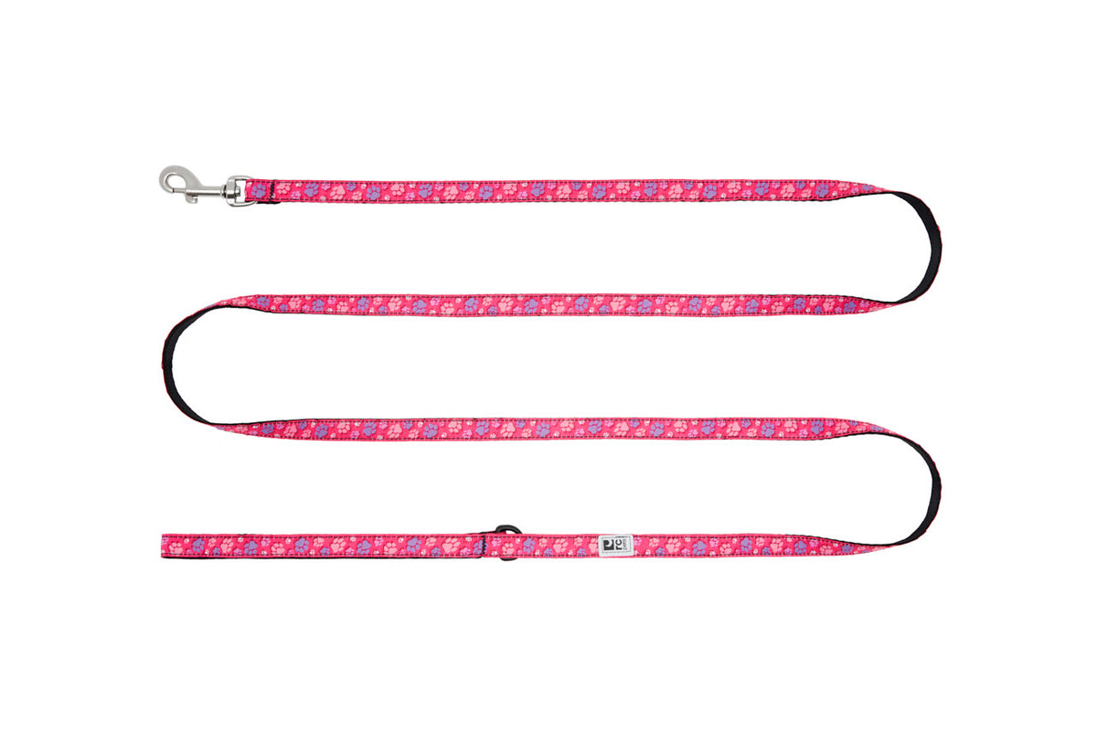 Laisse Petite à motifs 1/2 po x 6 pi