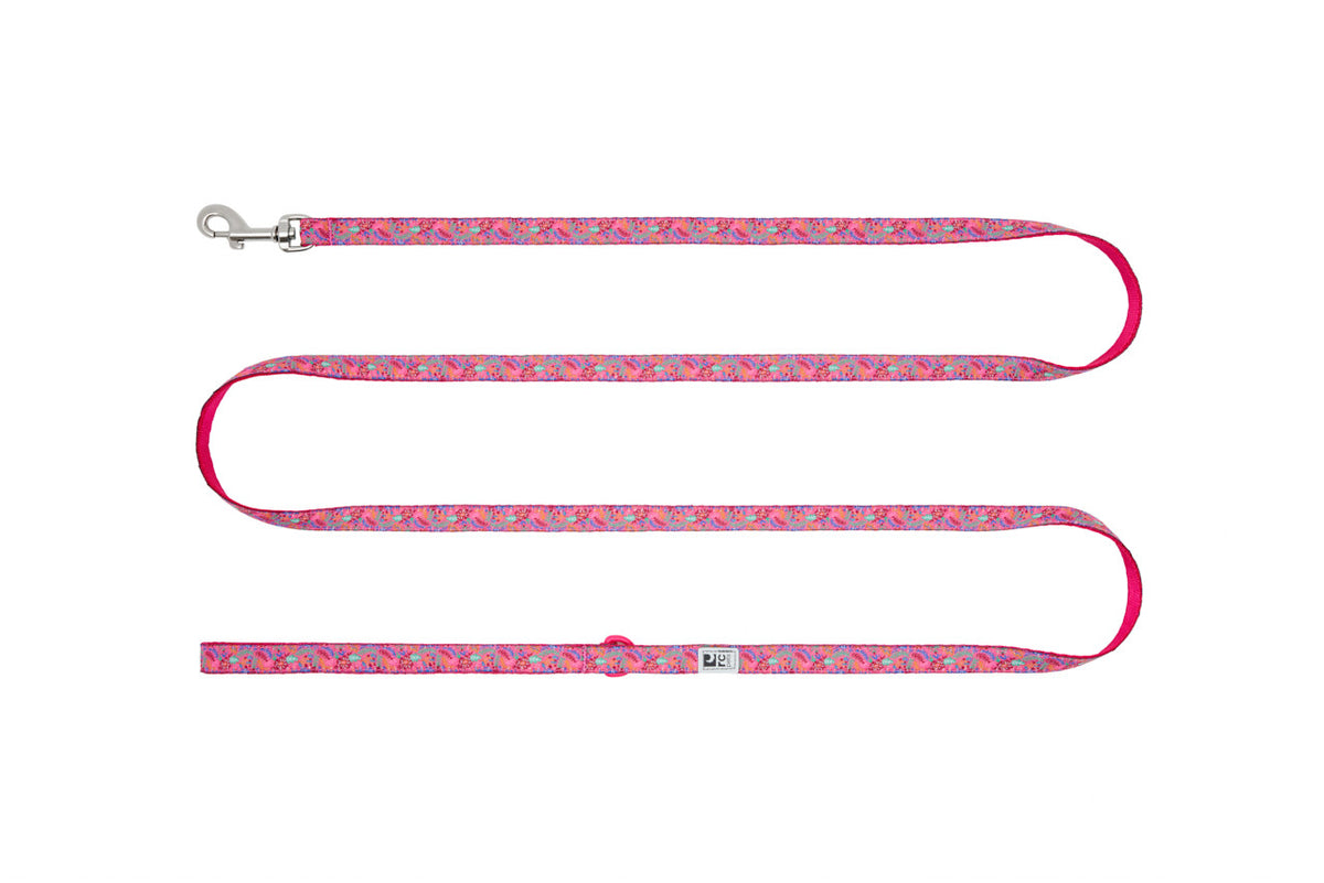 Laisse Petite à motifs 1/2 po x 6 pi