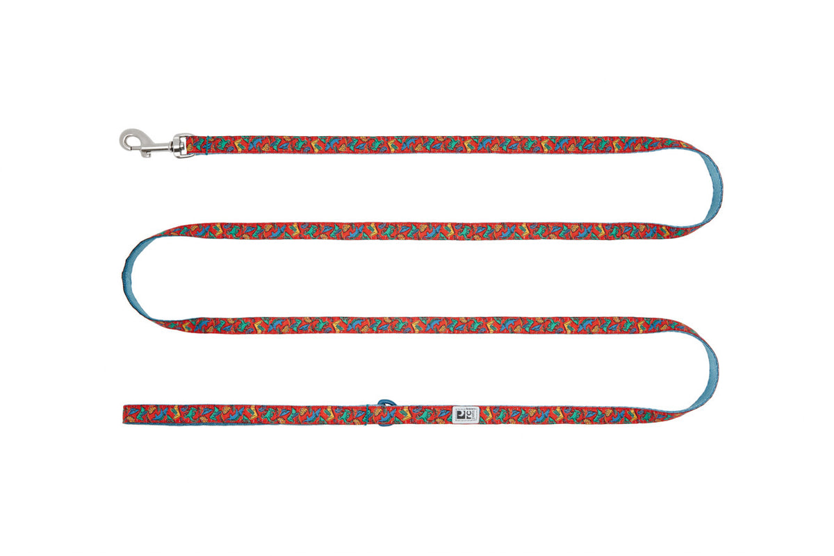 Laisse Petite à motifs 1/2 po x 6 pi