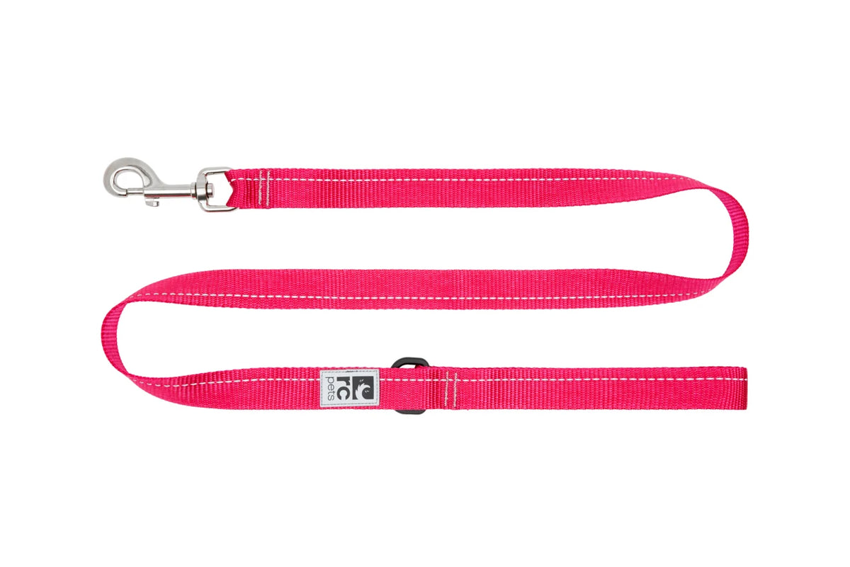 Laisse de base pour chien - RC Pets
