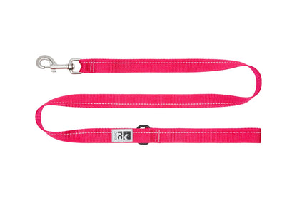 Laisse de base pour chien - RC Pets